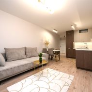 Mieszkanie na wynajem